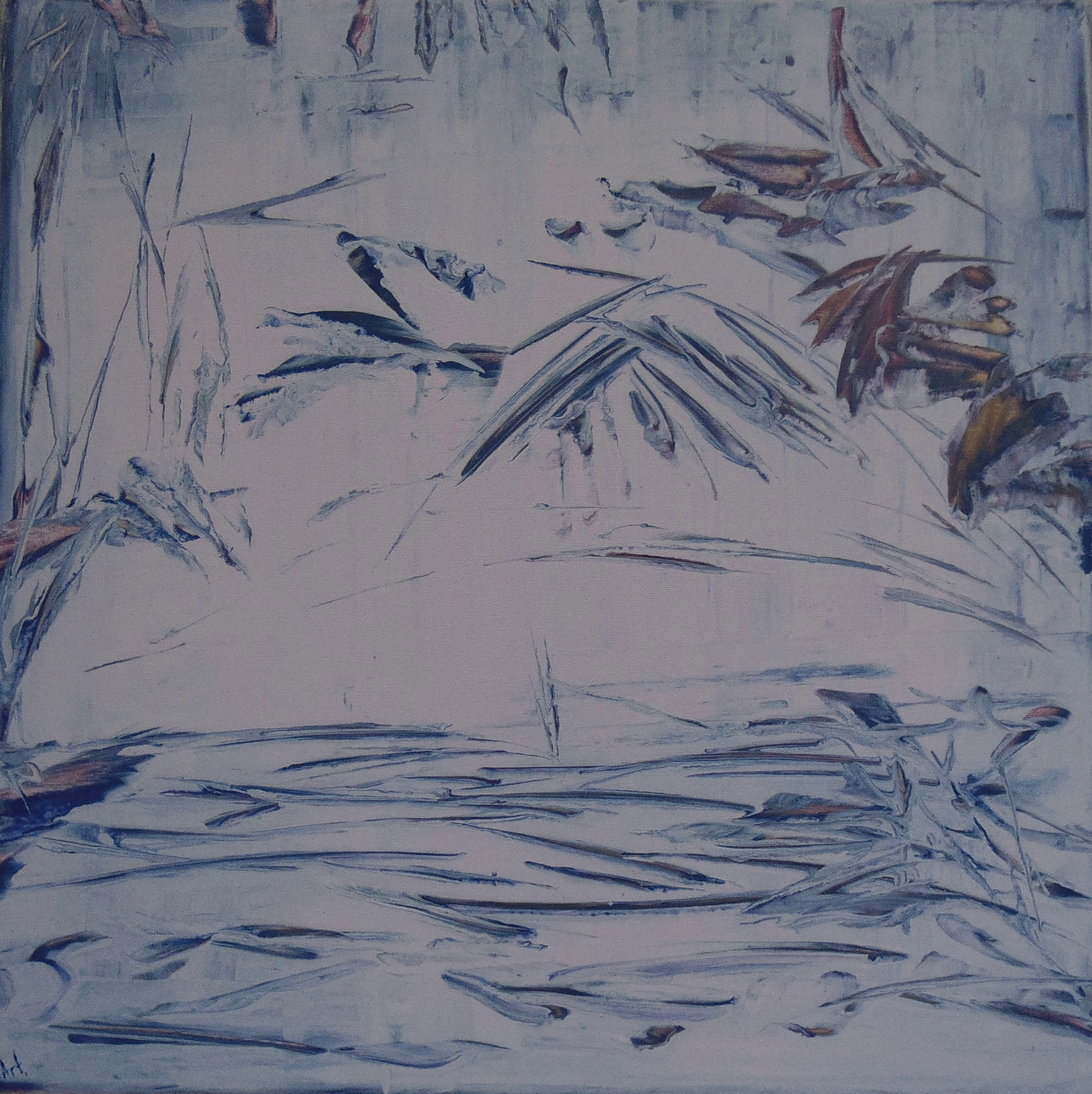 Dairy forest
