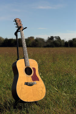 Taylor 310 Acoustic