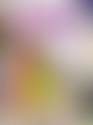 Celsius Flo Fusion On the Go featured in May issue of Vitamin Retailer Magazine