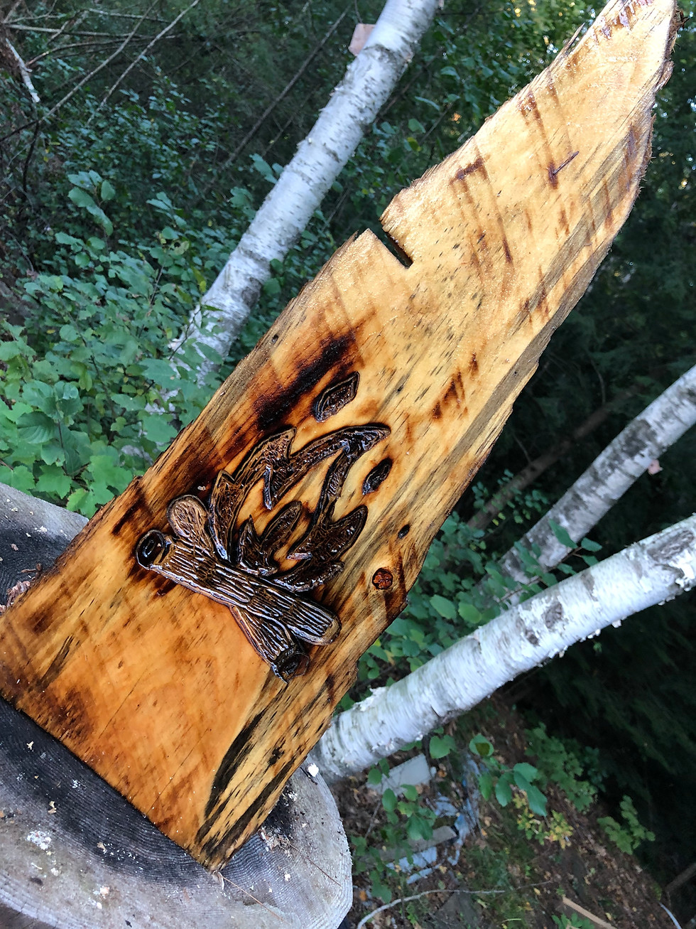 Thumbnail: Campfire sign