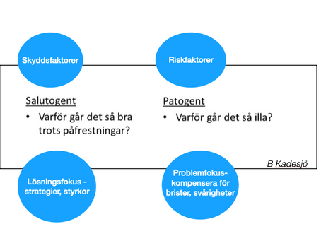 Extra anpassningar: överkrav eller&nbsp;möjligheter?