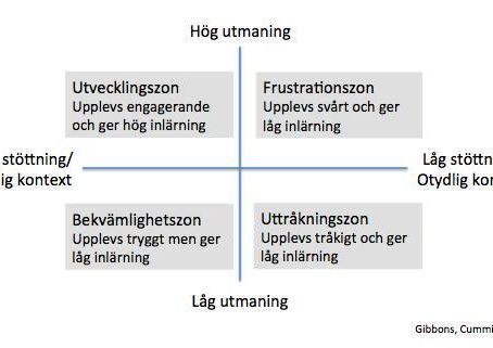 En effektiv aktivitet för kollegialt lärande