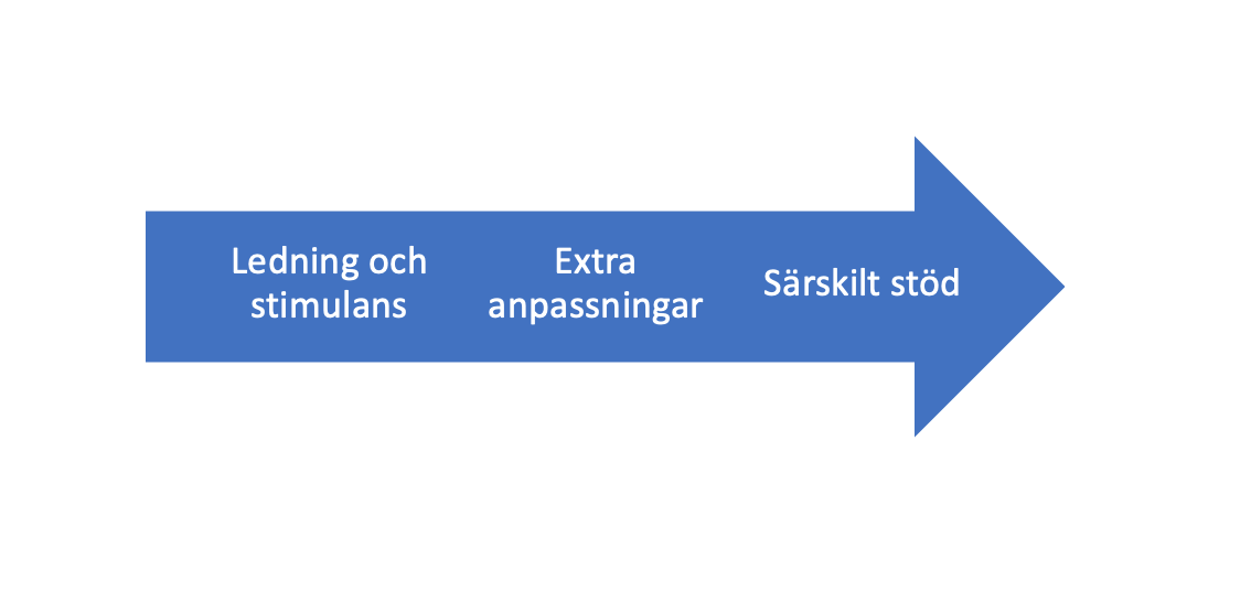 stödinsatser som kontinuum