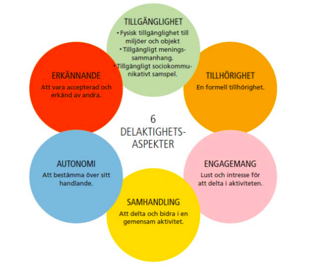 delaktighetsmodellen spsm