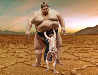 david och goliat sumo