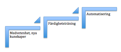 ska%cc%88rmklipp-2017-01-29-19-45-52