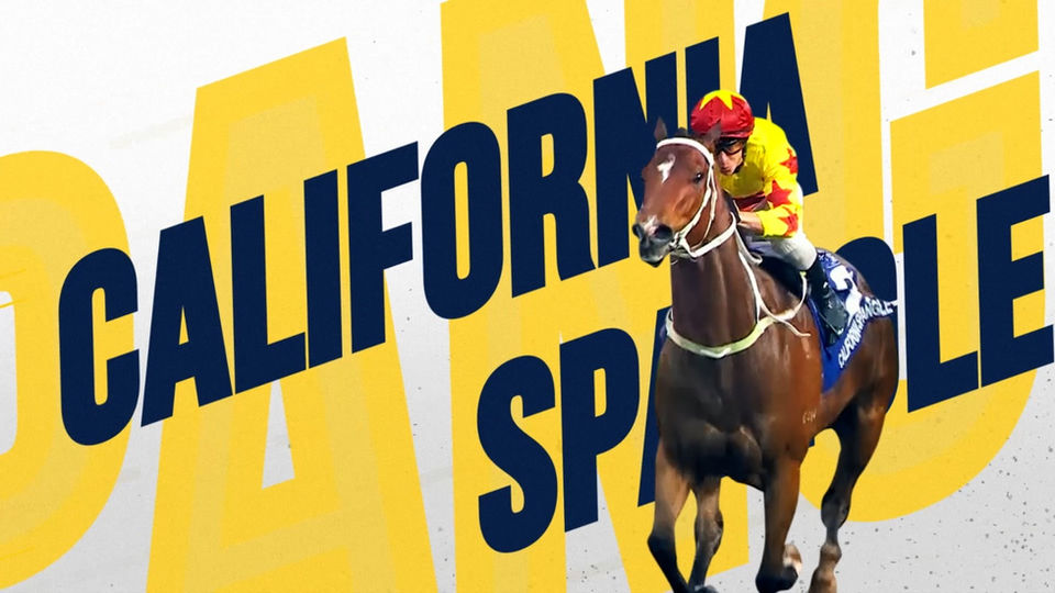 HKJC winning horse video