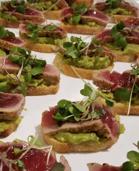 Seared-Ahi-Toast.gif