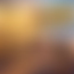 What it means to live your highest timeline - in TRUTHFUL terms