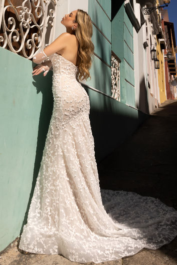 BG-101072 Ambrosia (30).jpg