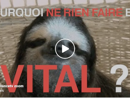 Ne rien faire est une activité vitale