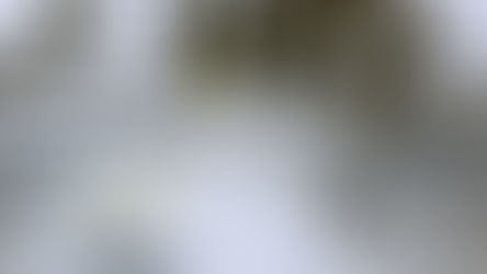 AJ Allmendinger returns to full-time Cup competition with Kaulig in 2025