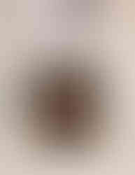 Screenshot_20251006_143959_Facebook