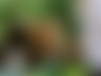 Recyclage : pourquoi l'éducation des jeunes reste cruciale