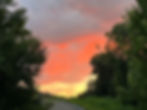 IMG_3443.jpeg