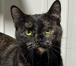 Birdie Headshot_edited.jpg