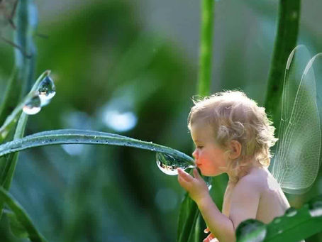 Tribute to Mother Earth