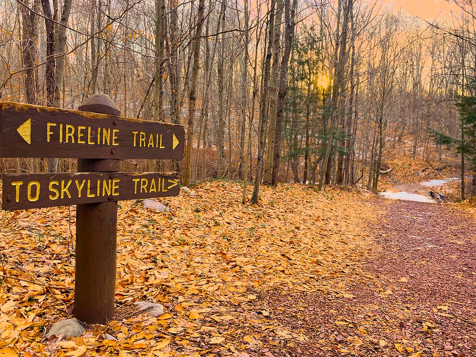Hickory Run State Park History: The Floods, Fires, and People Behind the Boulder Field