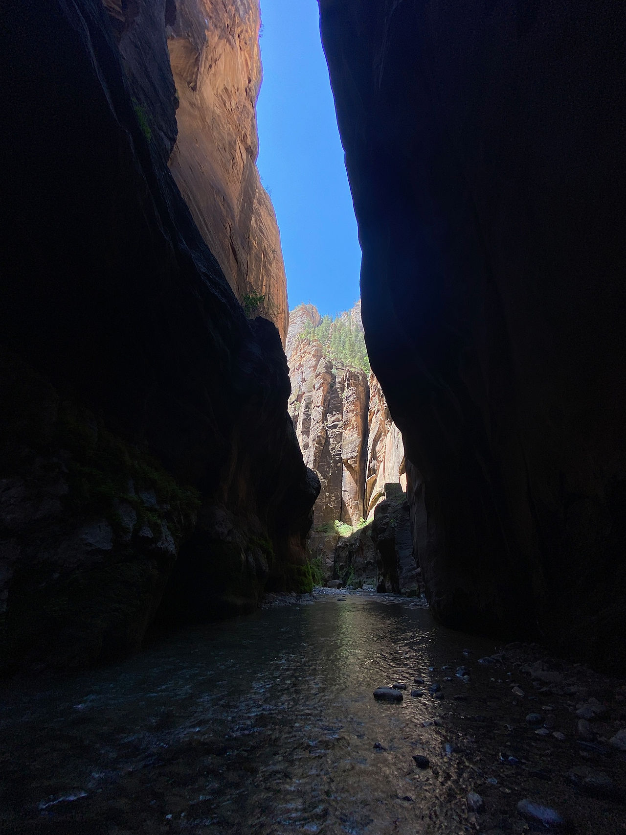 Dark, narrow canyon corridor in the Narrows at Zion National Park