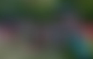 What You Should Know About Booking Campgrounds