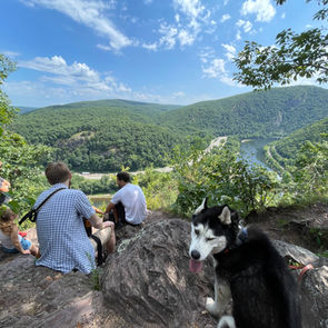 A scenic, wide-angle view from the rocky summit overlook of Mount Tammany on a sunny day with blue skies and scattered white clouds. In the foreground, a black and white husky dog stands on a rock ledge next to a group of hikers who are sitting down and resting. Below them, the Delaware River curves dramatically through the steep, tree-covered valley of the Delaware Water Gap.