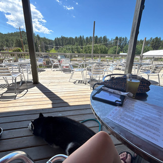 Dog resting on a wooden deck at a roadside stop in the Black Hills of South Dakota
