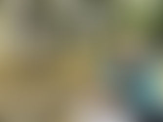 Easy veggie scrambled eggs