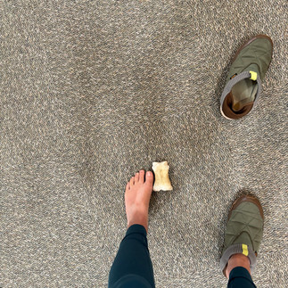 Fossilized Dinohyus toe bone displayed at Agate Fossil Beds National Monument in Nebraska
