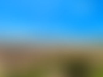 South Dakota Road Trip: Badlands, Wind Cave & More