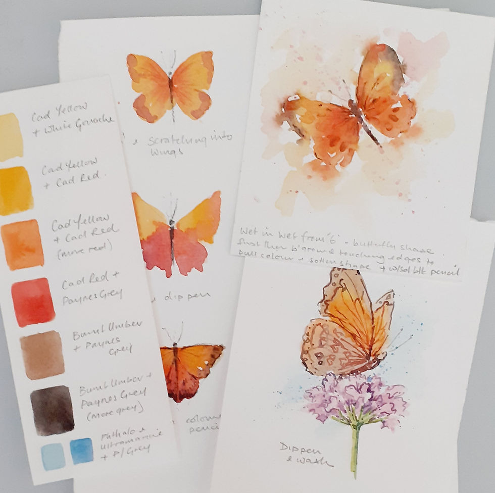 Thumbnail: a selection of mixed media examples of butterflies and moths