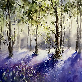 Bluebell Wood in Watercolour
