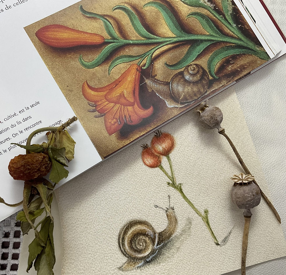 Thumbnail: Medieval Details: Fanciful Flora & Fauna