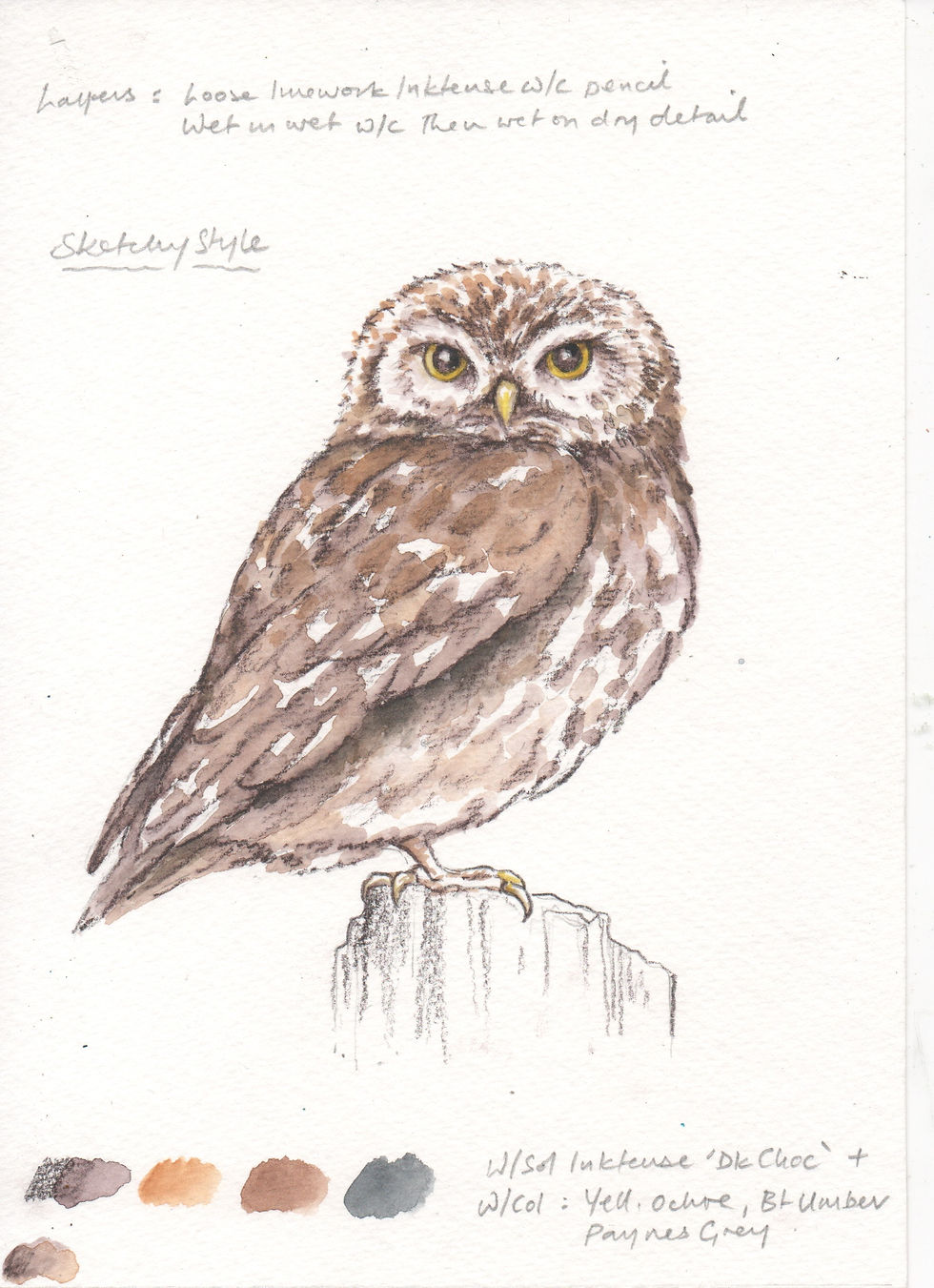 watercolour illustration of owl