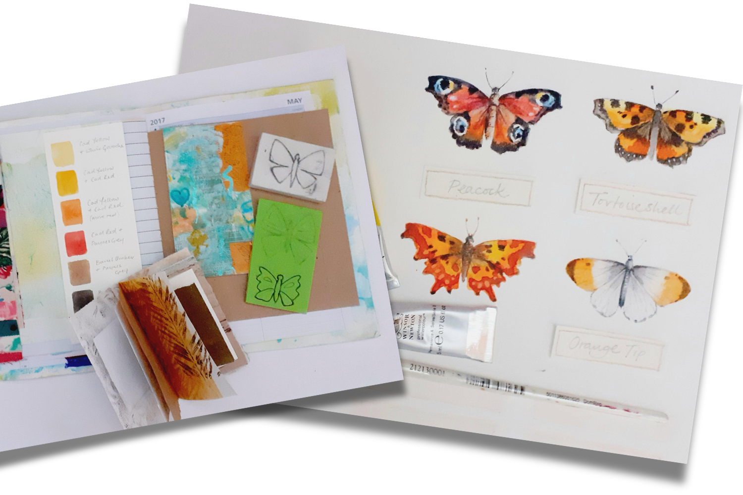 a selection of mixed media examples of butterflies and moths