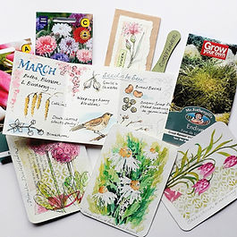 A Year in the Garden: Spring Edition