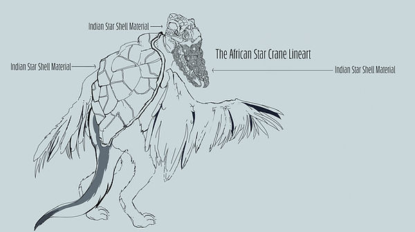 StarCrane_ Skelton1=1.jpg