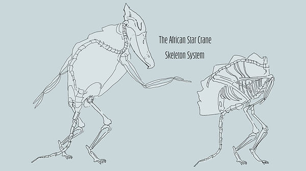 StarCrane_ Skelton1=.jpg