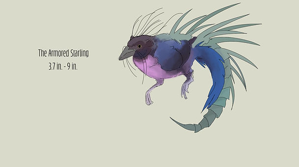 ArmoredStarling.jpg