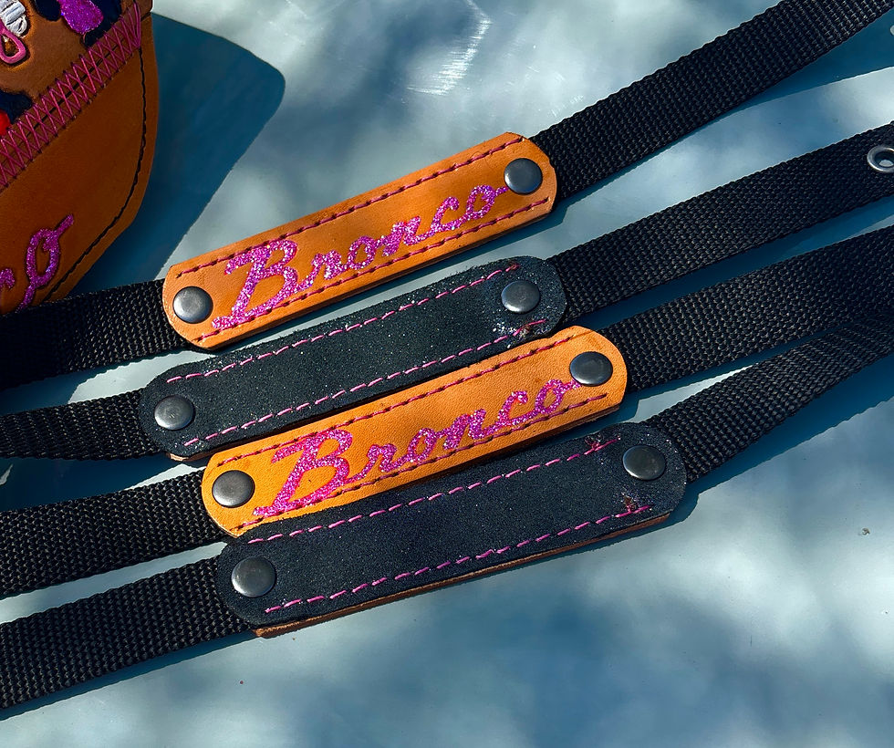 Thumbnail: Custom Bronco Handles 