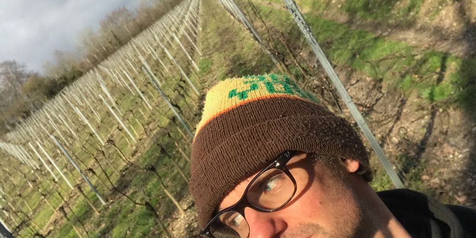10th Anniversary Vineyard Tours with David Line