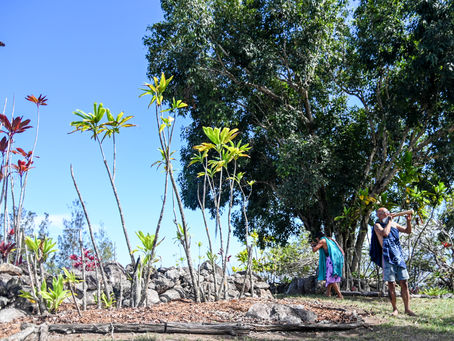 PULE – A LIVING CONNECTION