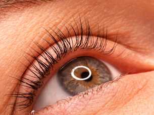 Juvenex Lash Lift in the Aesthetics Program