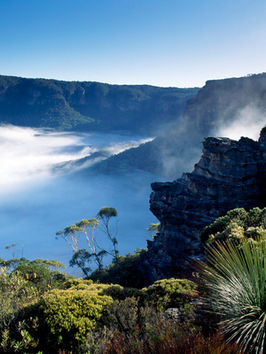 Blue Mountains National Park