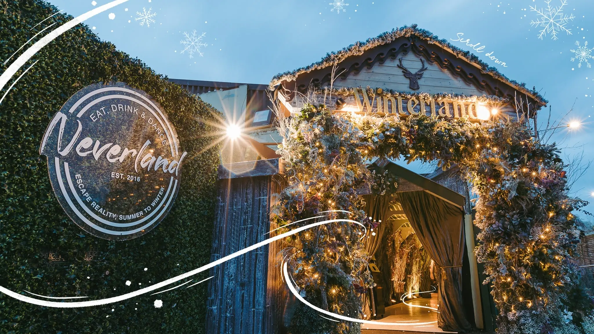 Winterland Hero Image