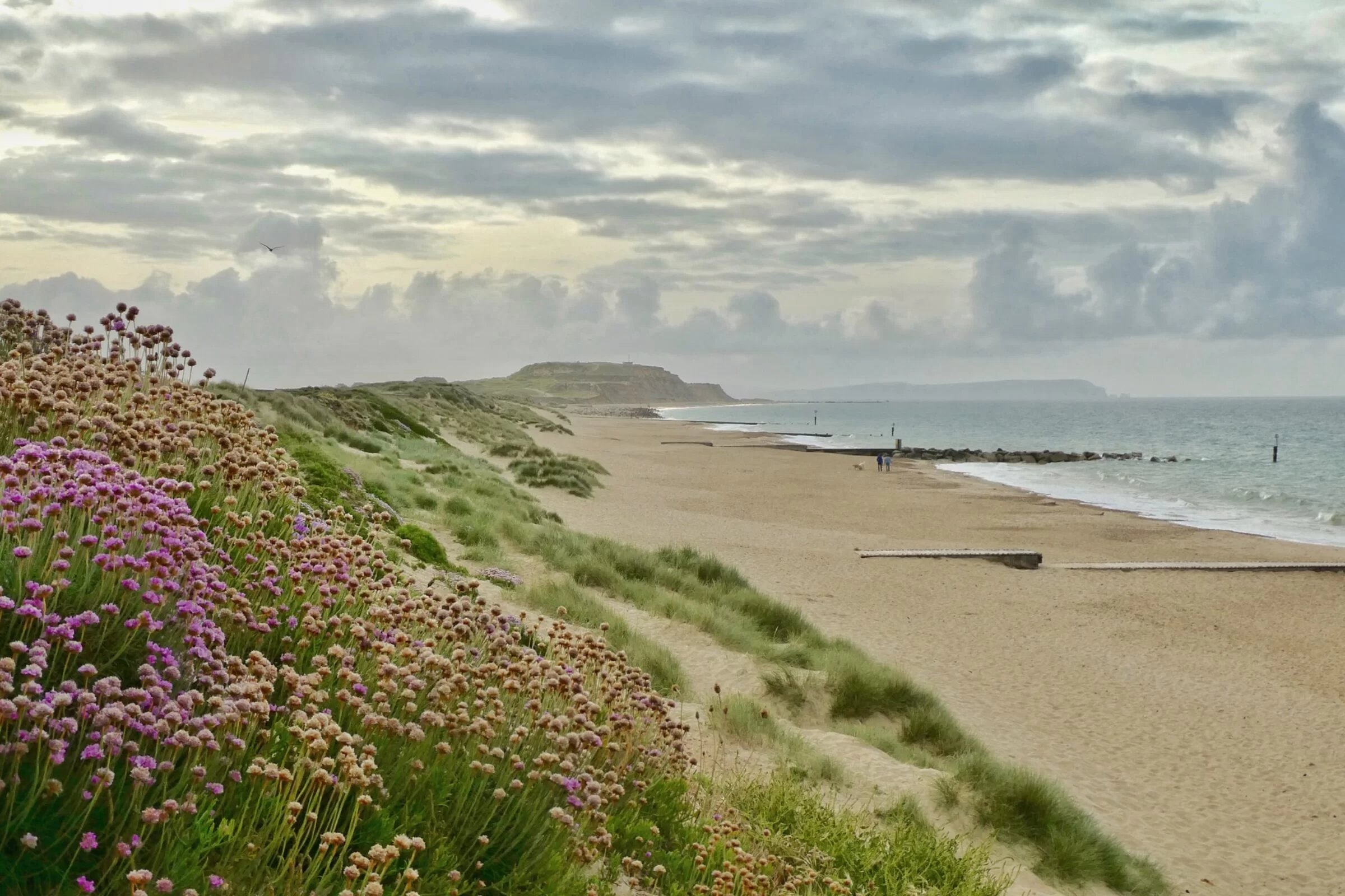 Hengistbury Head Dog Beach