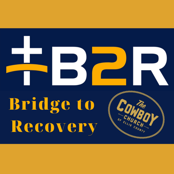 Bridge to Recovery