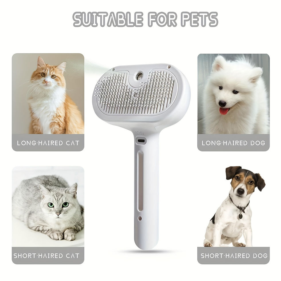 Miniatura: Pente com spray para animais de estimação, escova de limpeza e removedor de pelo