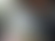 ご近所の長生きワンちゃん達が食べていたもの