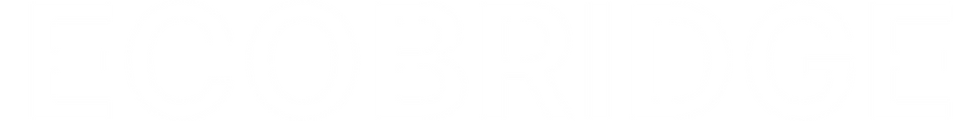 푸터 포인트.png