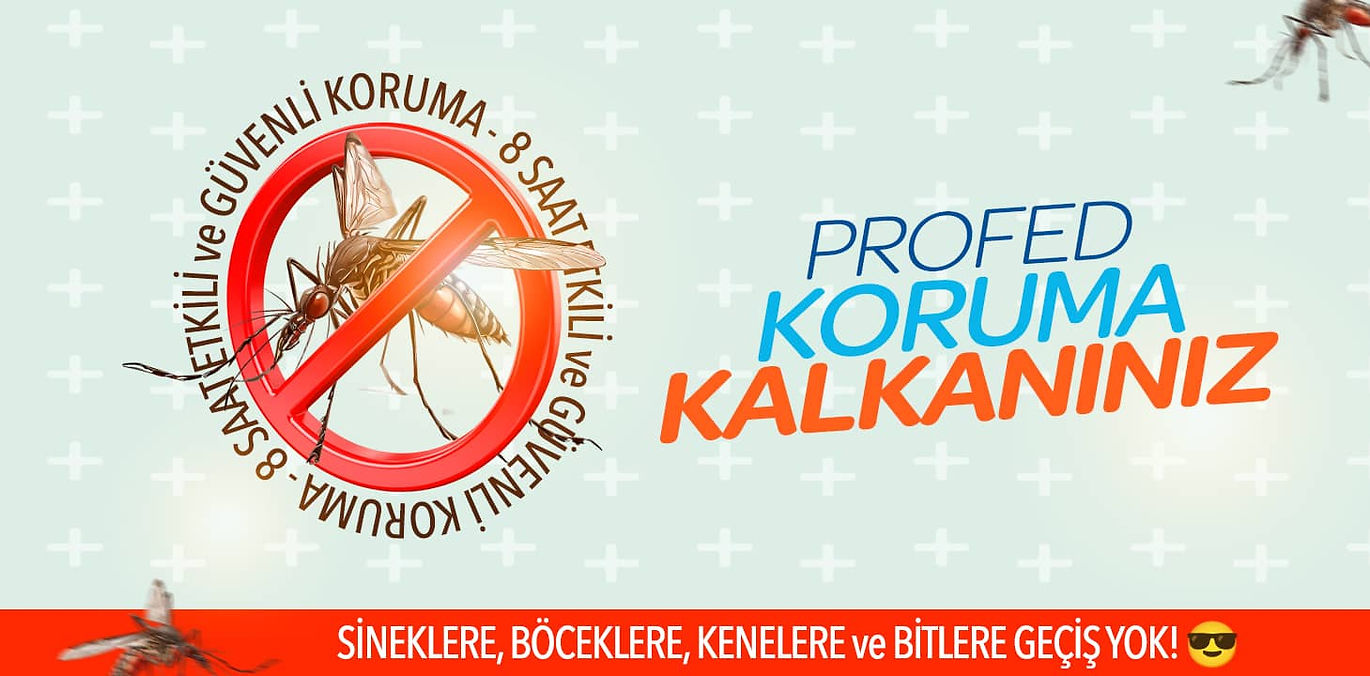 Profed-Banner.jpg